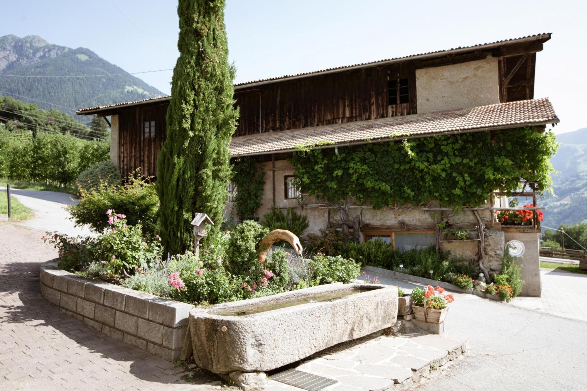 Noessinghof Bed & Breakfast Tirolo Luaran gambar